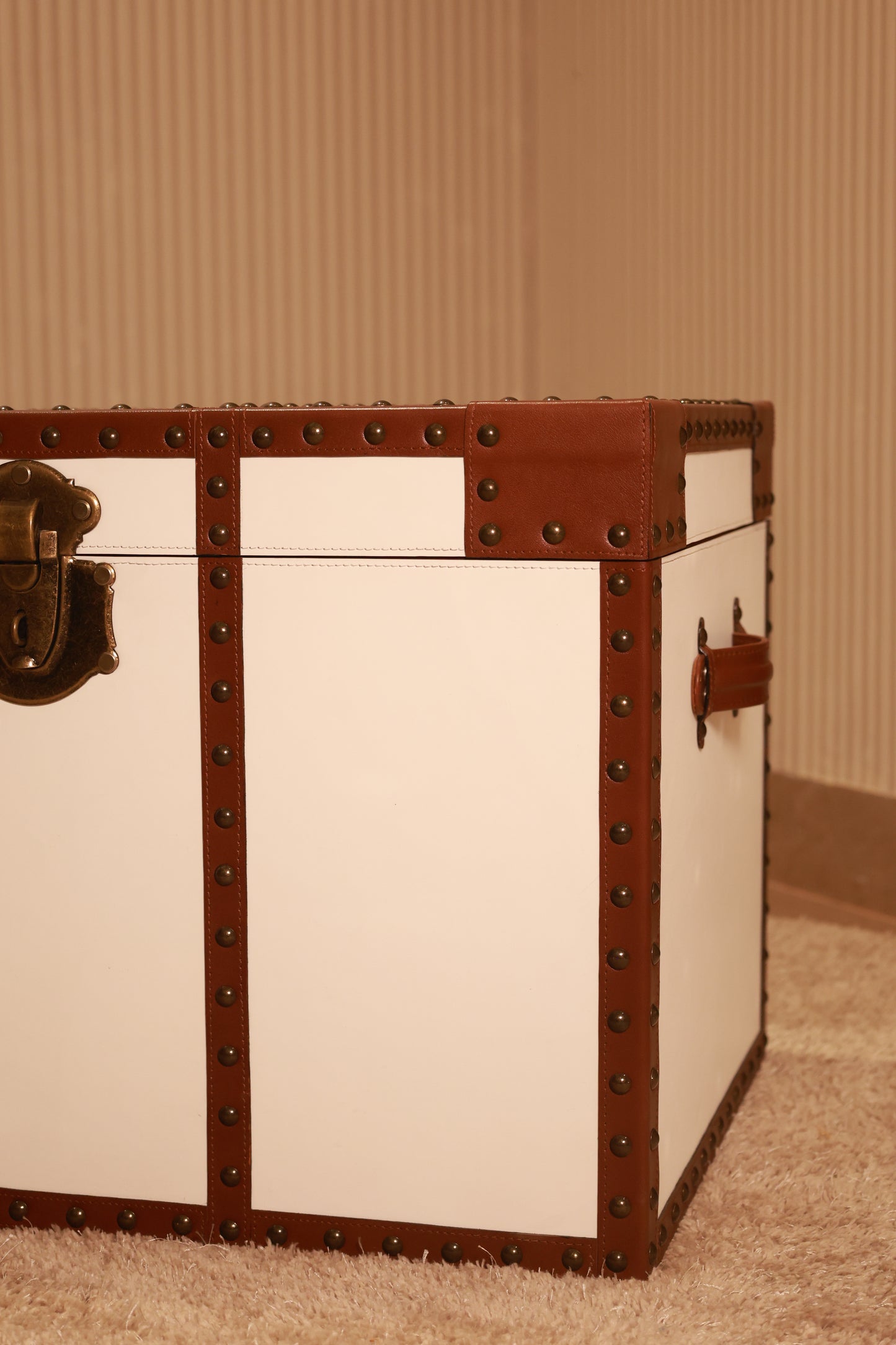 White Trunk with Brown Strips