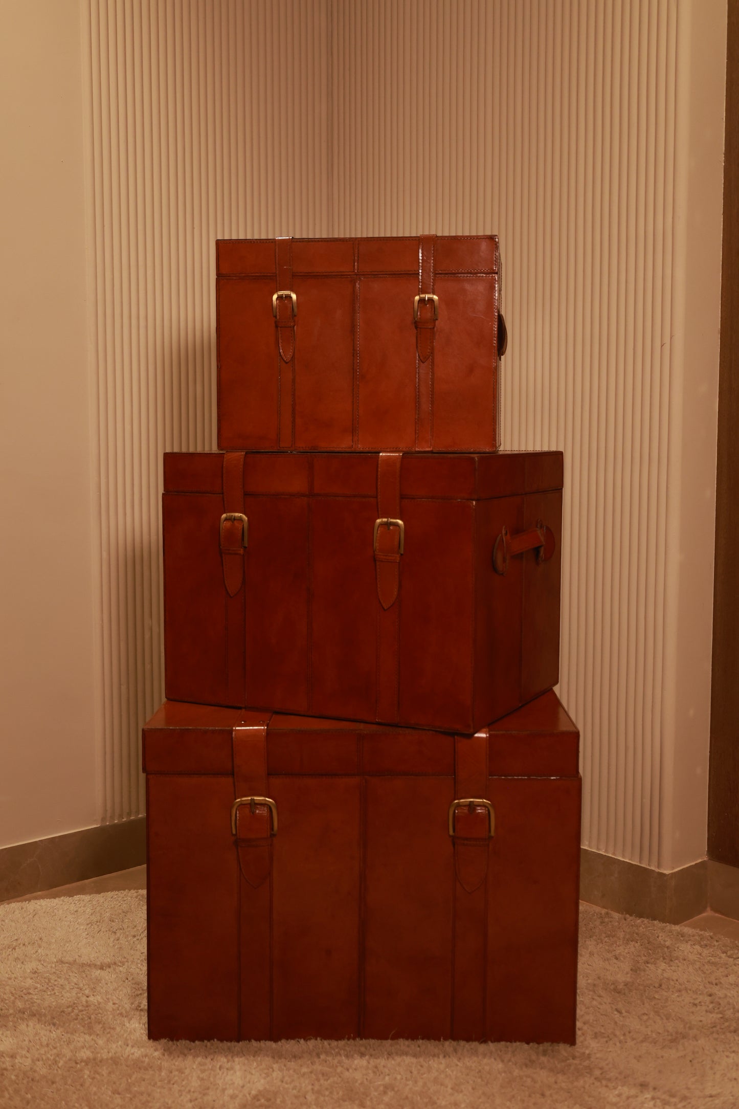 Set Of 3 Trunks