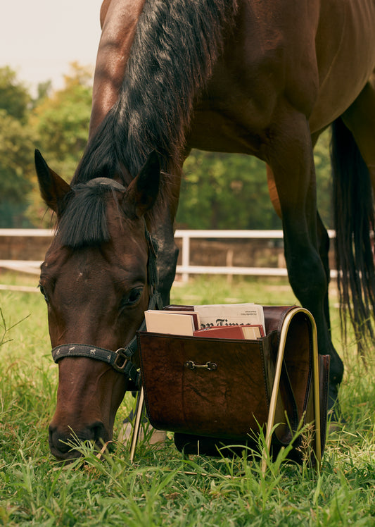Brown Leather Magazine Basket