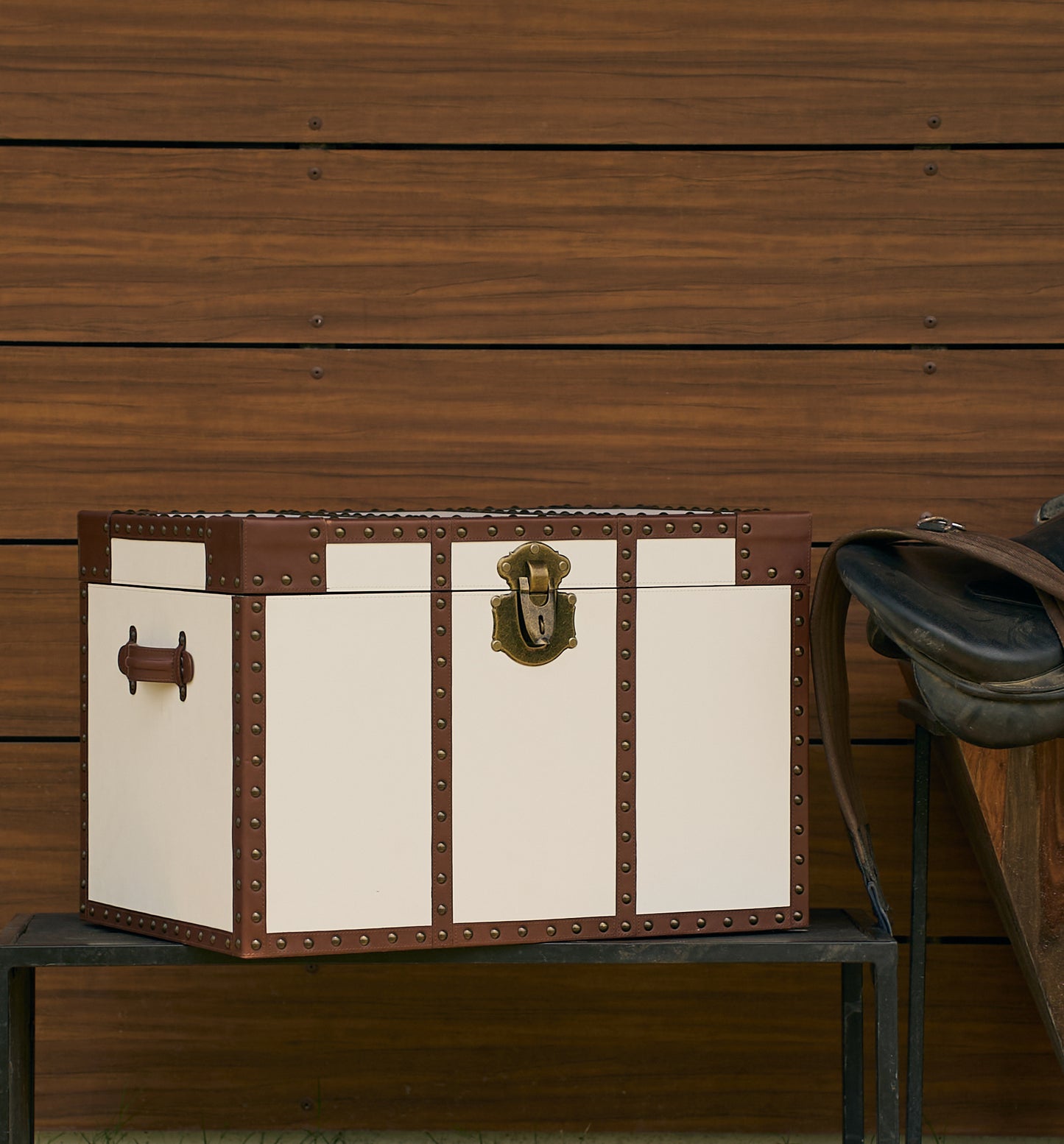 White Trunk with Brown Strips