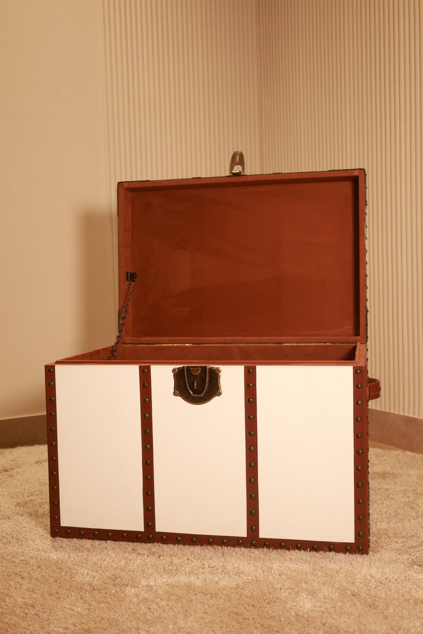 White Trunk with Brown Strips